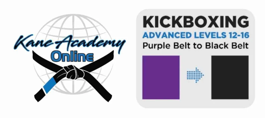 Kickboxing syllabus part 3 graphic
