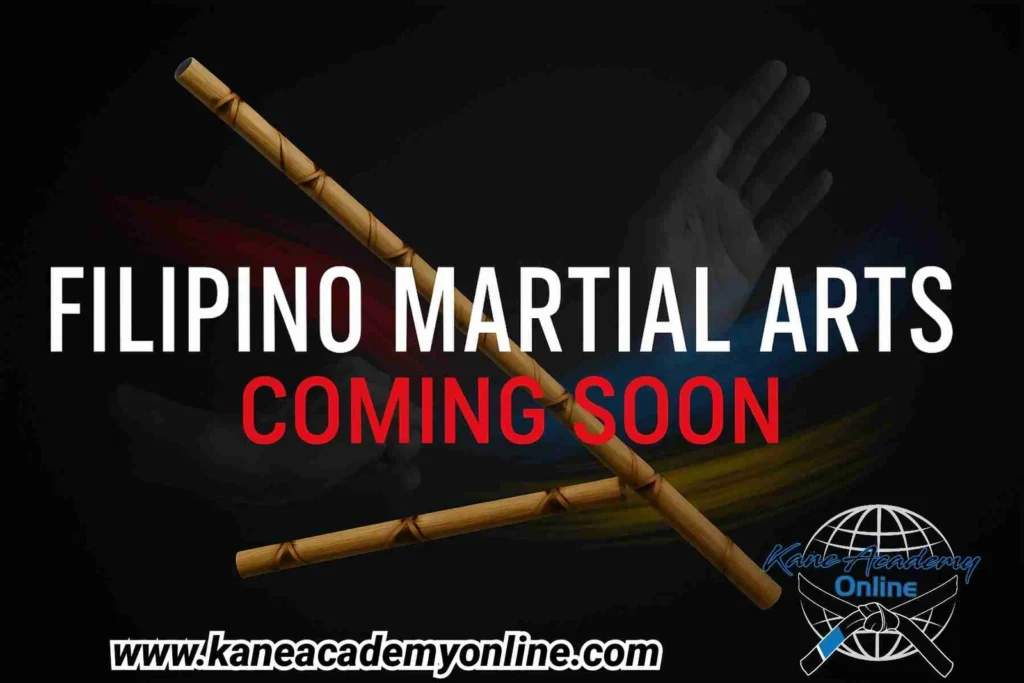 An instructor demonstrating a Filipino Martial Arts technique in a video lesson